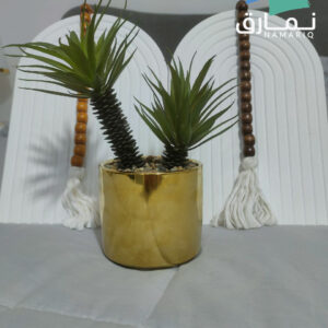 نخلة بورسلين